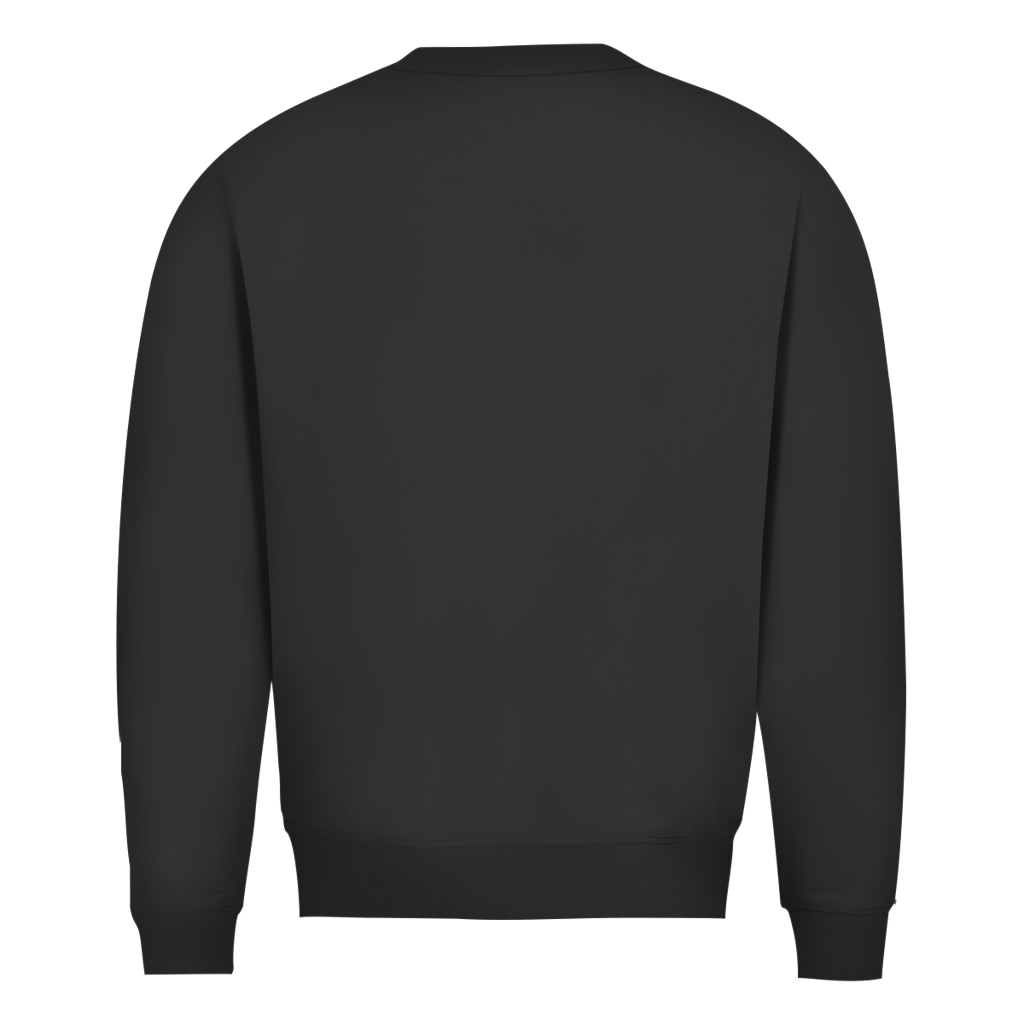 Herren Pullover-Ladung gesichert