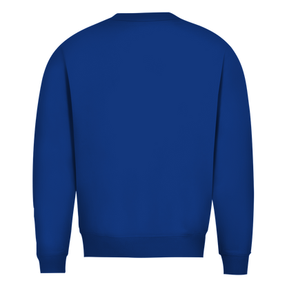 Herren Pullover-Ladung gesichert