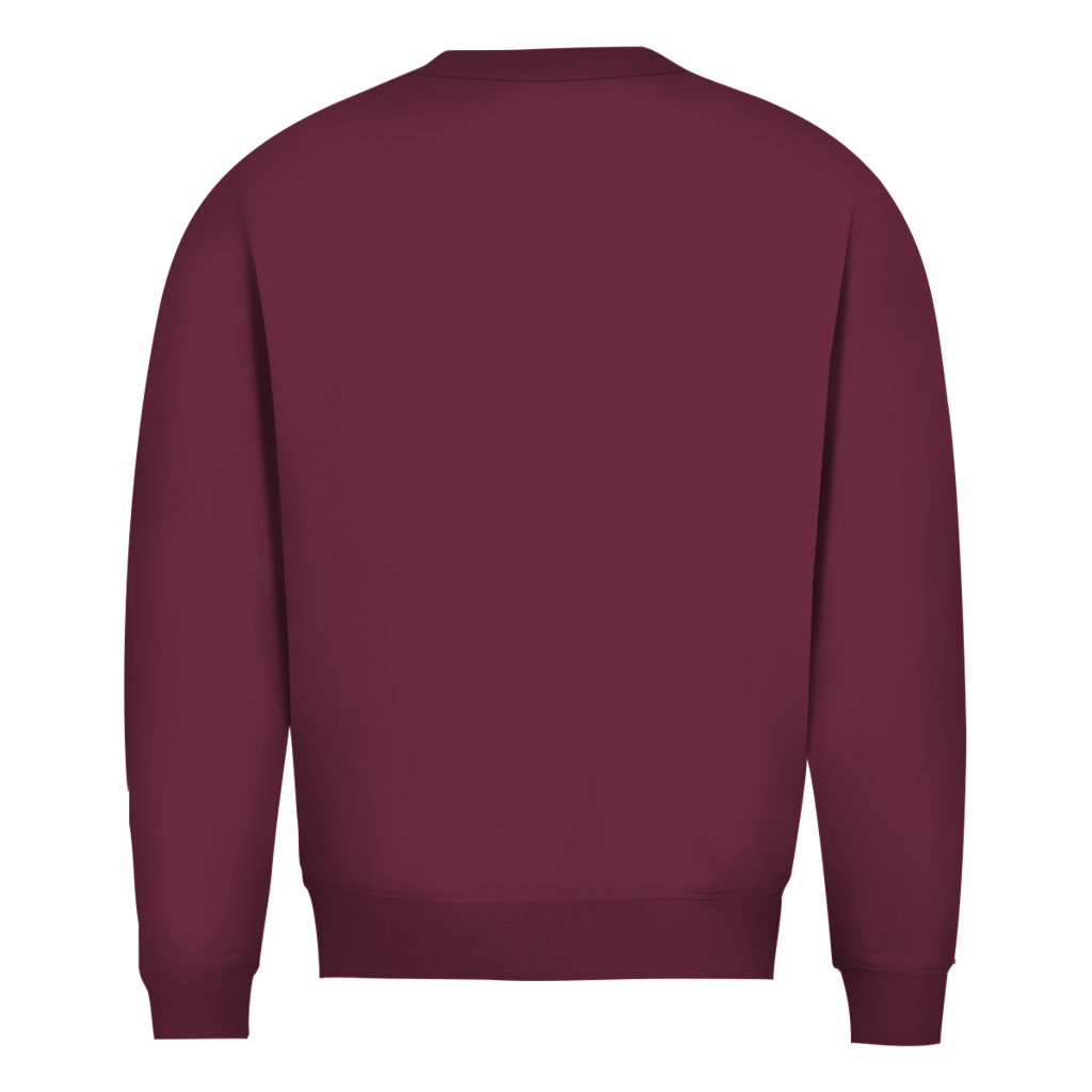Herren Pullover-Ladung gesichert