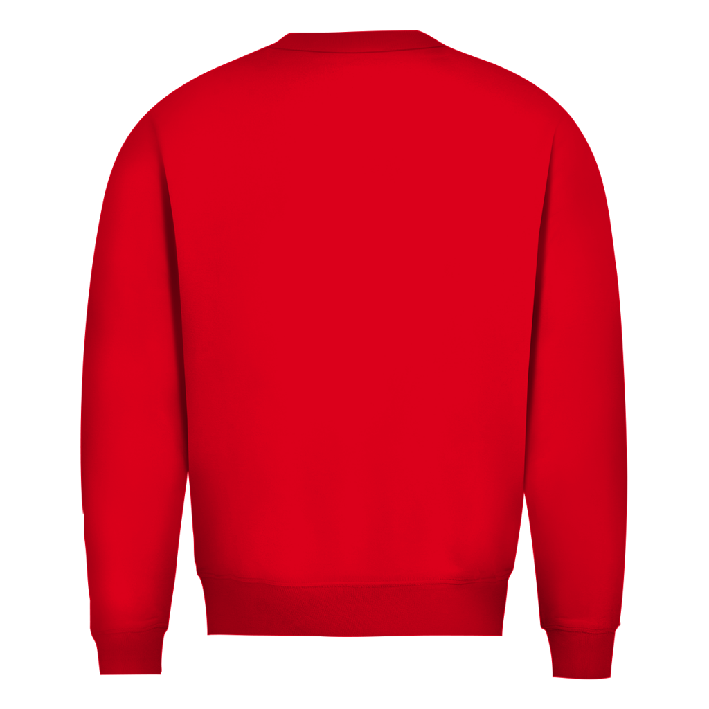 Herren Pullover Ouch! – Profilarbeit mit Folgen
