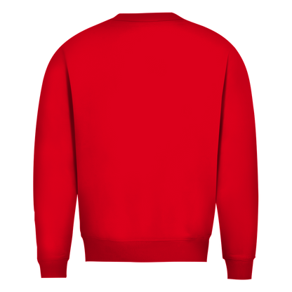 Herren Pullover Ouch! – Profilarbeit mit Folgen